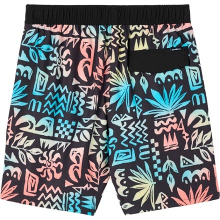O'Neill Hermosa Light Lined Volley 16" Board Shorts - Boys' 1