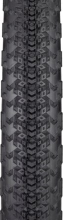 Teravail Sparwood Light & Supple Tire 1