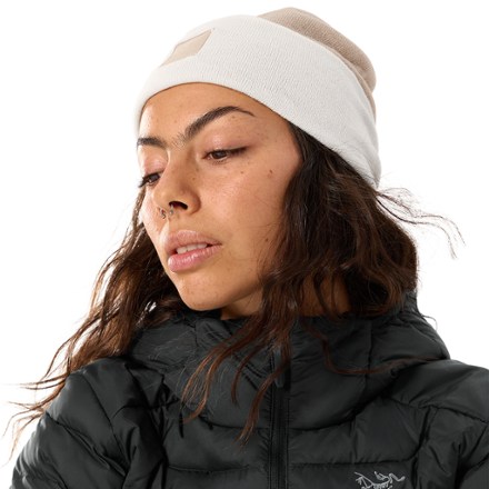 Arc'teryx Color Block Toque 4