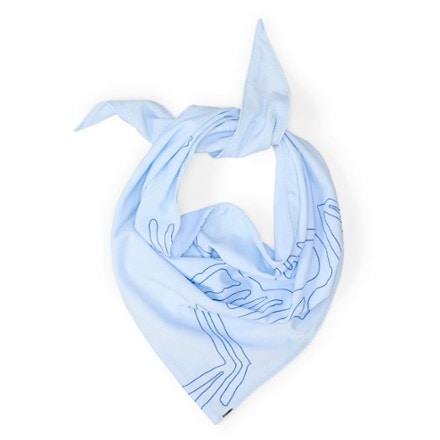 Arc'teryx Sinsolo Bandana 2