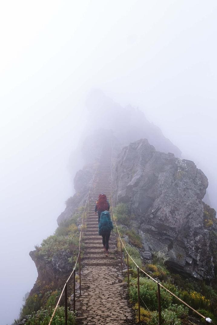 Location Image for Paragon 50 Pack - Men's