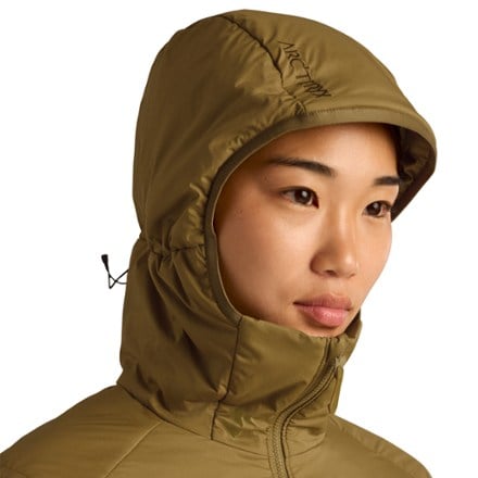 Arc'teryx Atom Insulated Hoody - Women's 5