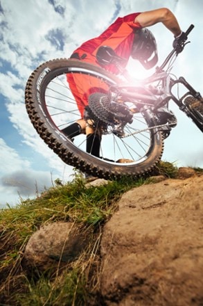 Michelin Wild Enduro Gum-X Rear Tire - 29 2