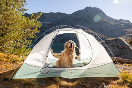 ALPS Mountaineering Felis 4 Tent 9