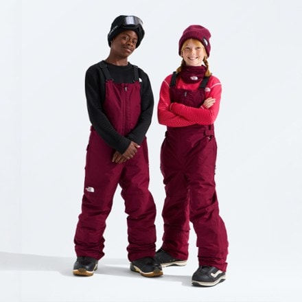 The North Face Freedom Insulated Bib Snow Pants 6