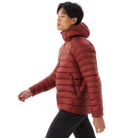 Arc'teryx Cerium Down Hoody - Men's 5