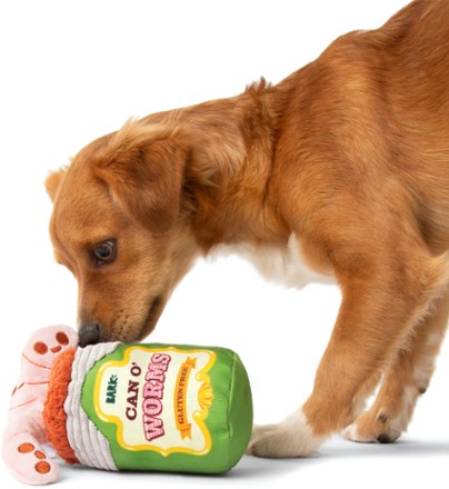 Bark Doggone Fishin' Plush Dog Toy 2