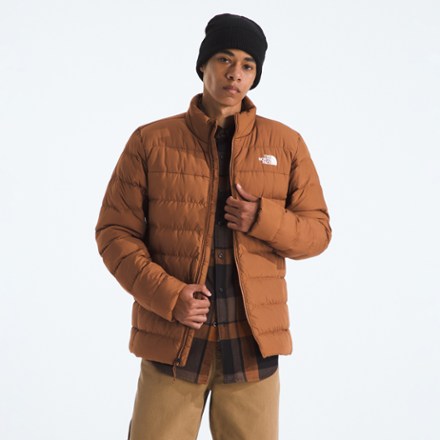 On Body Image of color Burnt Umber