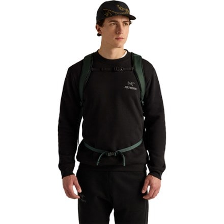 Arc'teryx Mantis 16 Pack 2