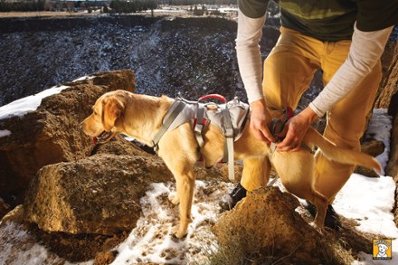 adjustable frame (Graphite Gray)