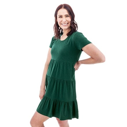 Aventura Asherton Tiered Dress 2