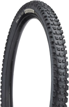 Teravail Warwick Light & Supple Tire - 29 1