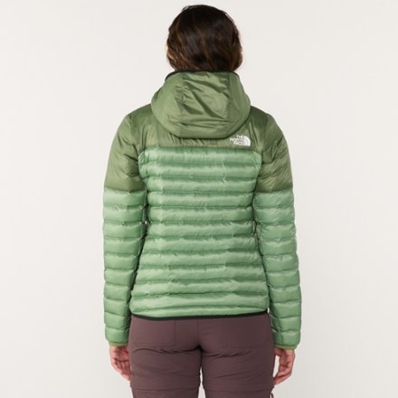 The North Face Terra Peak Insulated Hoodie - Women's 2