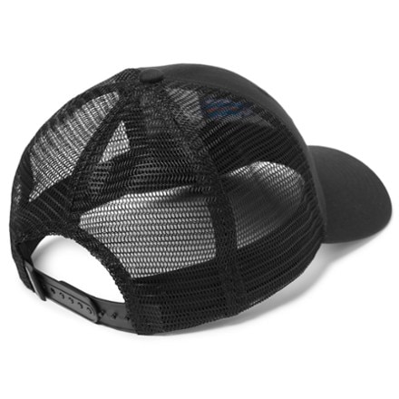 Patagonia P-6 Logo LoPro Trucker Hat Back view