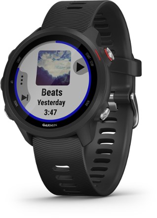 buy garmin 245