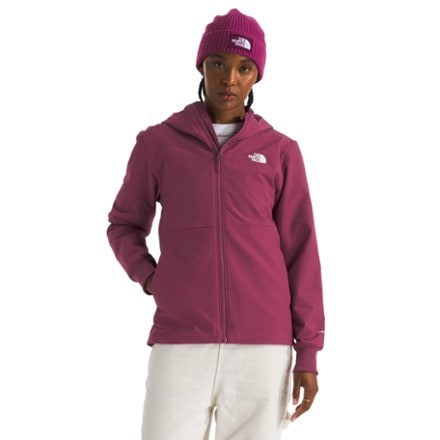 The North Face Shelbe Raschel Hoodie - Women's 0