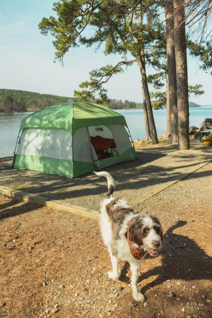 Location Image for Campwell 4 Tent
