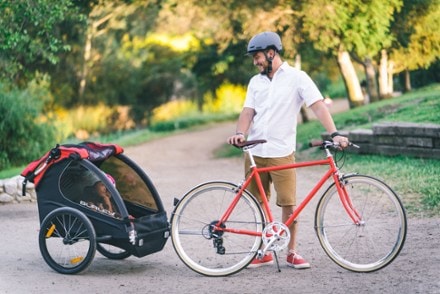 Burley Honey Bee Bike Trailer / Stroller 10