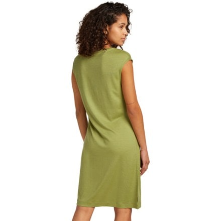 Icebreaker Granary Sleeveless Dress 1