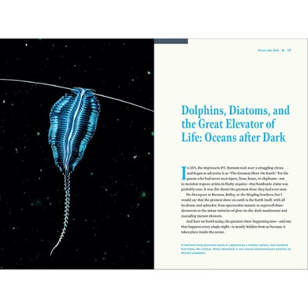 Timber Press Nature At Night: Discover the Hidden World That Comes Alive After Dark 4