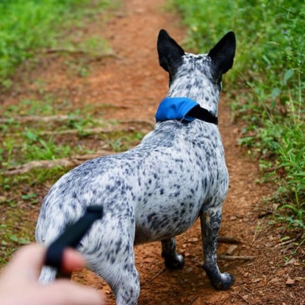 Location Image of color Blue