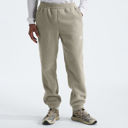 The North Face Fleeski Pants - Men's | REI Co-op