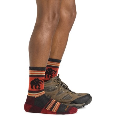 Darn Tough Willoughby Micro Crew Lightweight Hiking Socks - Men's 2
