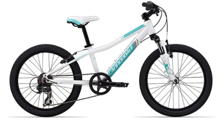 cannondale 20 inch bike