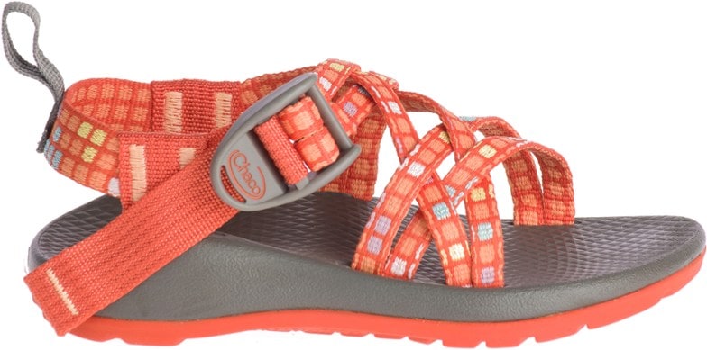 Product Image of color Blocked Tiger