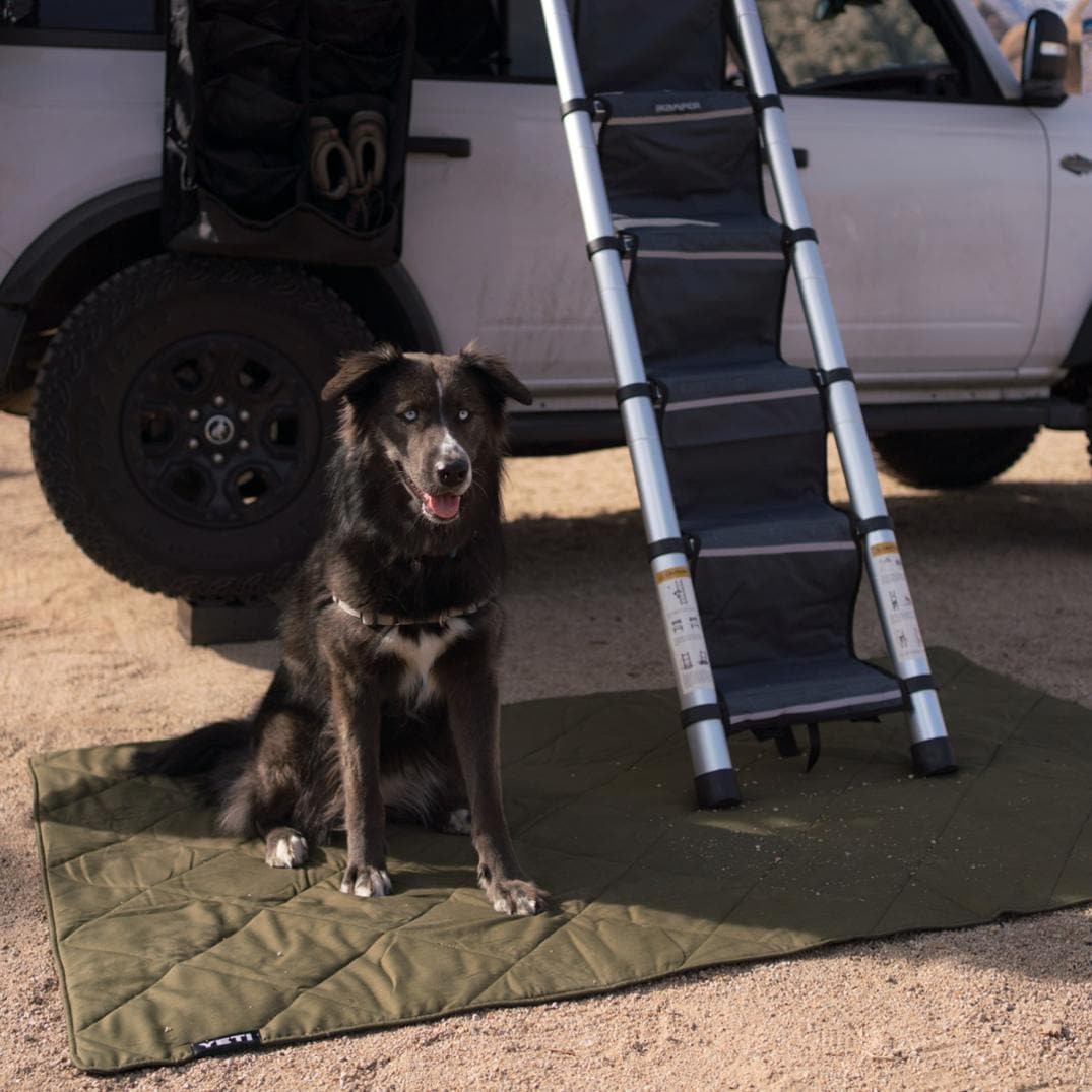 Location Image for Lowlands Blanket