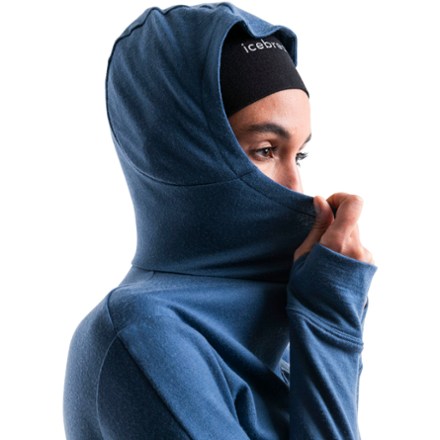 Icebreaker Merino 260 Quantum Long-Sleeve Zip Hoodie - Women's 2