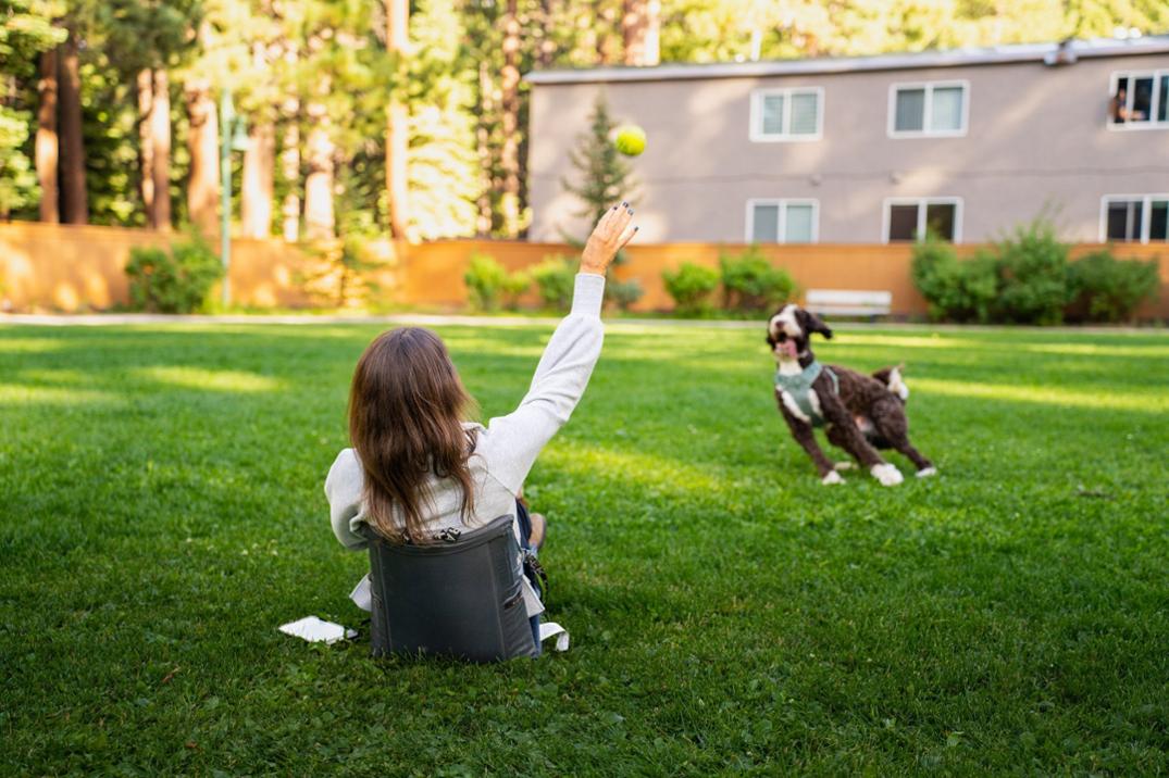 Location Image for Original Chair