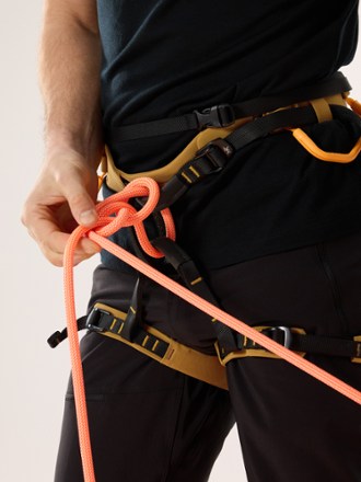 Arc'teryx AR-395a Harness - Men's 4