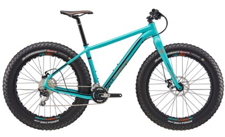cycle brush