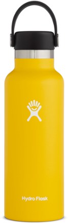Standard Mouth Vacuum Water Bottle with Flex Cap 18 fl. oz
