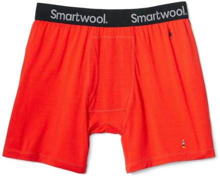 Smartwool Merino 150 Boxer Briefs - Men's | REI Co-op