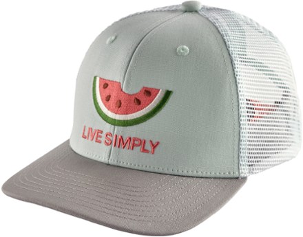 patagonia youth hat