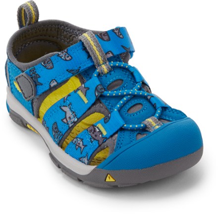 keen shark sandals