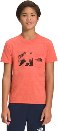 The North Face Boy's Tri Blend Graphic T Shirt