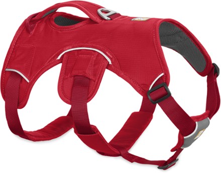 rei dog harness