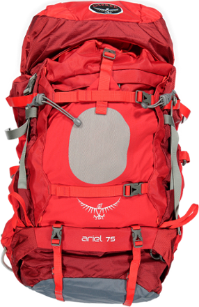 Ariel 75 on sale
