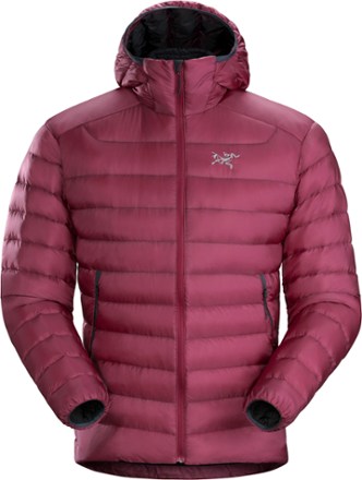 cerium lt down hoodie