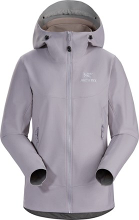 Arc'teryx Men's Gamma LT Hoody | Active Junky