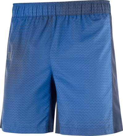 salomon agile 2 in 1 shorts