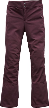 the north face women's ski pants