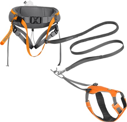 rei dog harness