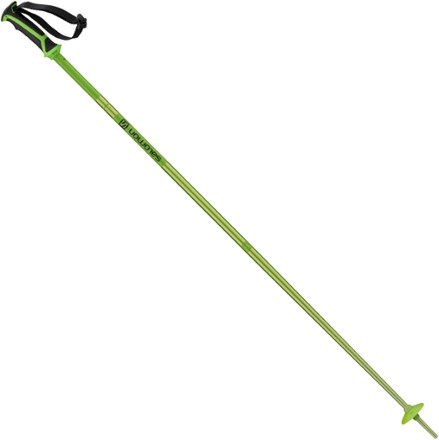 salomon arctic poles
