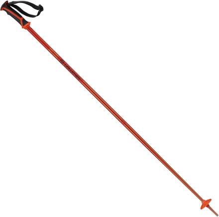 Salomon Ski Poles | REI