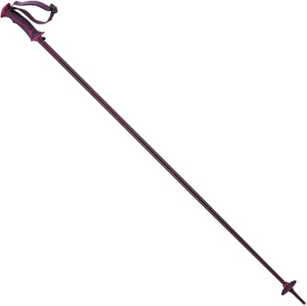 salomon touring poles