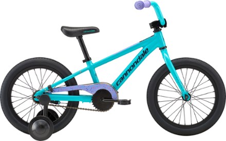 rei fixed gear bike